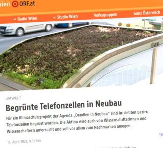 Medienberichte über SIAMESE im KURIER, ORF und auf Radio Wien